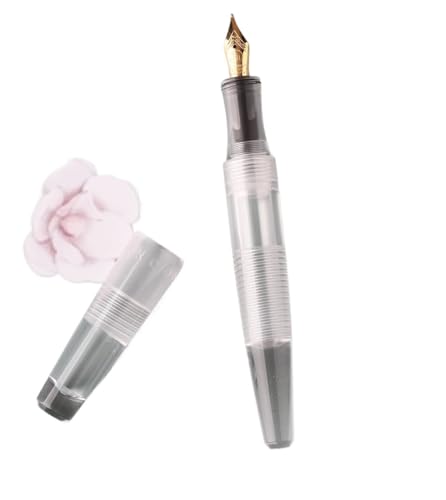 EPANO Dropper Füllfederhalter, Iridium-Füllfederhalter, gebogene Feder, 0,5 mm/1,0 m, vollständig transparent, großes Fassungsvermögen, modischer Stift (blau, gebogen 0,7–1,2 m) von EPANO