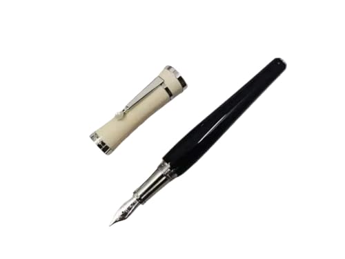 EPANO Luxus-Kugelschreiber für Füllfederhalter, Business-Kugelschreiber (silberfarbener Füllfederhalter, nur Stift) von EPANO