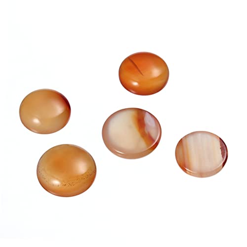 EPIGEIST 20 Stück Edelstein-Patch osterdeko zum basteln muttertagsgeschenk zum basteln decor Karneol-Cabochons Ohrhaken für die Schmuckherstellung edelsteine Schmuck Zeit Accessoires rot EPIGEIST 20 Stück Edelstein-Patch osterdeko zum basteln muttertagsgeschenk zum basteln decor Karneol-Cabochons Ohrhaken für die Schmuckherstellung edelsteine Schmuck Zeit Accessoires rot von EPIGEIST
