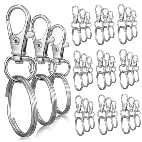 EPIGEIST 30 Stück Teiliges Schlüsselringe mit Drehkarabinerverschluss aus Edelstahl Inklusive Rundringen Robust und Sicher für Schlüsselorganisation und Bastelarbeiten EPIGEIST 30 Stück Teiliges Schlüsselringe mit Drehkarabinerverschluss aus Edelstahl Inklusive Rundringen Robust und Sicher für Schlüsselorganisation und Bastelarbeiten von EPIGEIST