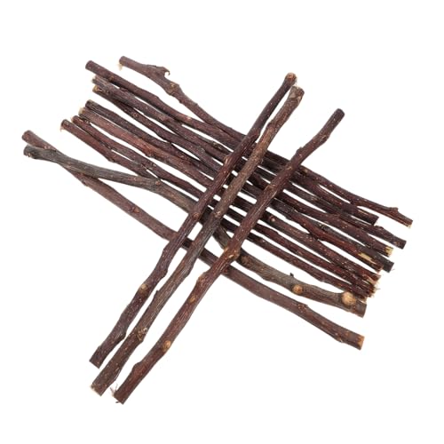 EPIGEIST 50 Stück Getrocknete Birkenzweige Natürliche Holzstäbchen für DIY Bastelprojekte Rustikale Dekoration Foto Requisiten Vielseitige Holzäste für Handwerk und Kreative Gestaltung EPIGEIST 50 Stück Getrocknete Birkenzweige Natürliche Holzstäbchen für DIY Bastelprojekte Rustikale Dekoration Foto Requisiten Vielseitige Holzäste für Handwerk und Kreative Gestaltung von EPIGEIST