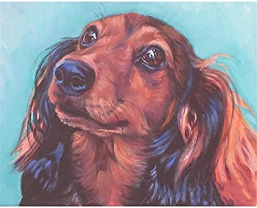 EPTIC 5D DIY Diamond Painting Kits Für Erwachsene Aquarell Langhaariger Dackel Hund Runde Strass Diamantstickerei Kunsthandwerk Für Heimdekoration 40x40CM von EPTIC