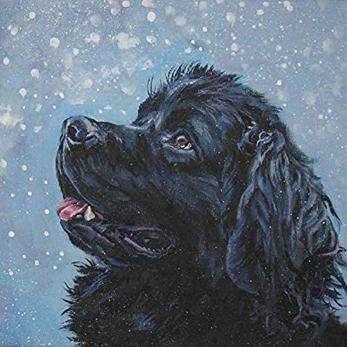 EPTIC DIY 5D Diamond Painting Kits Diamantmalerei Erwachsene Kind Neufundland im Schnee Schwarzer Hund für Heimdekoration Volldiamantmalerei 30x40CM EPTIC DIY 5D Diamond Painting Kits Diamantmalerei Erwachsene Kind Neufundland im Schnee Schwarzer Hund für Heimdekoration Volldiamantmalerei 30x40CM von EPTIC