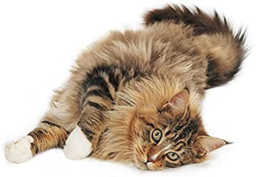 EPTIC DIY 5D Diamond Painting Set, Maine-Coon-Katze Malen nach Zahlen Diamant, Diamond Painting Arts Craft für Zuhause, Wanddekoration, 50 x 60 cm EPTIC DIY 5D Diamond Painting Set, Maine-Coon-Katze Malen nach Zahlen Diamant, Diamond Painting Arts Craft für Zuhause, Wanddekoration, 50 x 60 cm von EPTIC