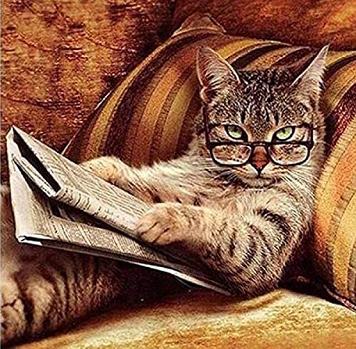 EPTIC DIY Handarbeit 5D Diamond Painting Kit Katze liest die Zeitung Full Drill Stickereibild Home Decor Wall Art 30x40CM EPTIC DIY Handarbeit 5D Diamond Painting Kit Katze liest die Zeitung Full Drill Stickereibild Home Decor Wall Art 30x40CM von EPTIC