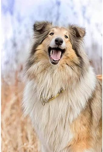 EPTIC Rauer Collie Hund DIY 5D Diamond Painting Kits Haustier Tierstickerei Runder Diamant Geschenk 30x40CM von EPTIC