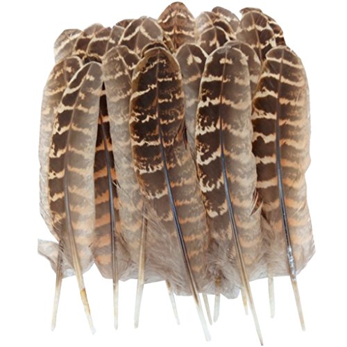 ERGEOB® Natur Dekoration Hahnfeder fasan Feder 50 stück, 10-15cm läng, Ideal für Kostüme, Hüte, basteln, Zuhause Dekor, DIY usw.… von ERGEOB