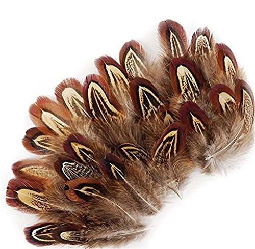 ERGEOB® Natur Dekoration Hahnfeder fasan Feder 50 stück, 4-7cm läng, Ideal für Kostüme, Hüte, basteln, Zuhause Dekor, DIY usw. von ERGEOB
