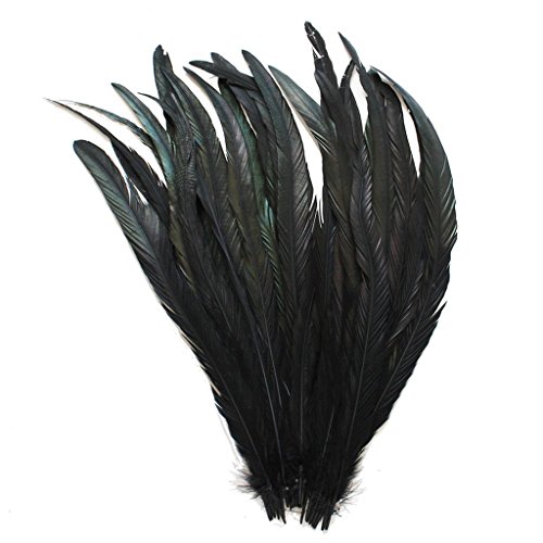 ERGEOB Echte Hahnenfedern in 30-35cm (12-14 Zoll) Länge - Ideal für Faching/Karneval, Kostüme, Hüte, Basteln, Zuhause Dekoration, DIY, Schwarz 20 Stück von ERGEOB
