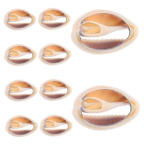 ERINGOGO 10 Stück Armbandherstellungszubehör, Mini-Muschel-Charms, Muschelperlen, Muschel-hänge-Charms, Schmuckherstellung, Erkenntnisse, DIY-Ohrringe, Zubehör ERINGOGO 10 Stück Armbandherstellungszubehör, Mini-Muschel-Charms, Muschelperlen, Muschel-hänge-Charms, Schmuckherstellung, Erkenntnisse, DIY-Ohrringe, Zubehör von ERINGOGO