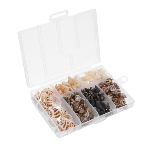 ERINGOGO 2 Boxen Garnitur mit Muschelmuscheln Aquarium Ornament Zubehör für Dekorationen einmachgläser Fischtankdekoration Muschelschmuck Aquarienschmuck natürliche Schale von ERINGOGO