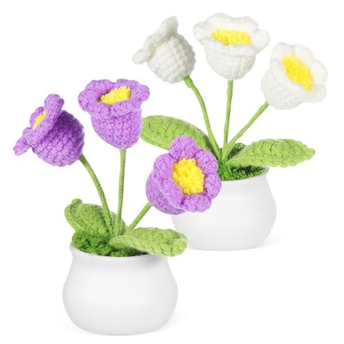 ERINGOGO 2 Stück Maiglöckchen-Blumenornamente Zuhause simulierte Bonsai-Dekoration Häkelblume gehäkelte Blumen drinnen auto dekoration wohnaccessoires Strauß stricken Mini-Blumenstrauß Garn von ERINGOGO