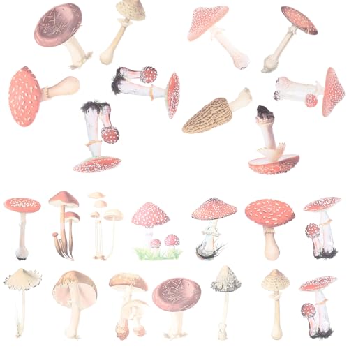 ERINGOGO 40 Stück Mushroom Aufkleber DIY Sticker für Laptop Wasserflasche Journaling Kreative Designs für Persönliche Gestaltung von ERINGOGO