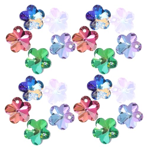 ERINGOGO 5-zackiger Stern Pflaumenblüten-perlenbox Schmuckherstellungsset Charms Für Armbänder Und Halsketten von ERINGOGO