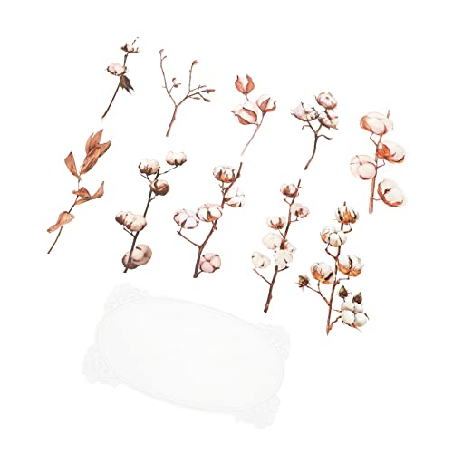 ERINGOGO 5taschen Pflanzenaufkleber Mit Selbstklebenden Thematischen Aufklebern Für Scrapbooking Karten Und Deko Große Pet Sticker Pro Packung Für Kreative Bastelprojekte von ERINGOGO