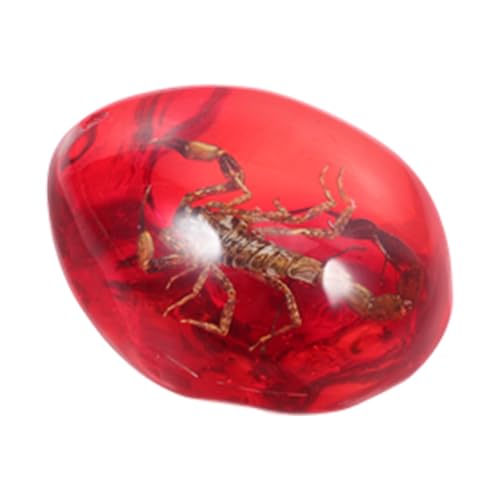 ERINGOGO Bernsteinexemplar Bernsteinschmuck Insekten Bernstein Insekt Bernsteinstein Bernsteinfarbenes Insektenexemplar Dekoratives Bernsteinhandwerk Diy -handwerk Rot Harz ERINGOGO Bernsteinexemplar Bernsteinschmuck Insekten Bernstein Insekt Bernsteinstein Bernsteinfarbenes Insektenexemplar Dekoratives Bernsteinhandwerk Diy -handwerk Rot Harz von ERINGOGO