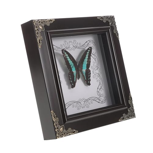 ERINGOGO Butterfly Exemplar Dekorative Gemälde Schmetterlinge im Freien Probe real erste Schmetterling Bilderrahmen Schmetterlingssammlung gerahmter Schmetterling hölzern ERINGOGO Butterfly Exemplar Dekorative Gemälde Schmetterlinge im Freien Probe real erste Schmetterling Bilderrahmen Schmetterlingssammlung gerahmter Schmetterling hölzern von ERINGOGO