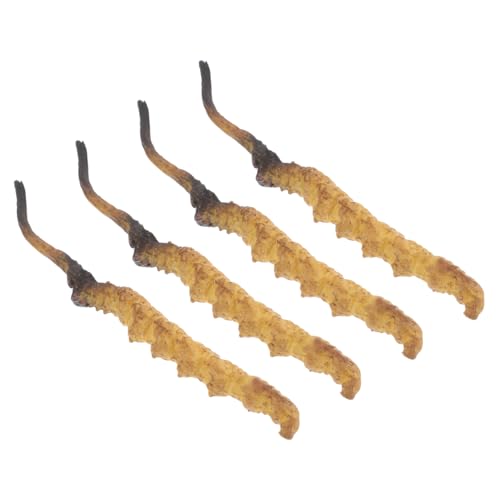 ERINGOGO Cordyceps-antagonismus – 4-teilige Ladendekoration Mit Hoher Simulation Für Die Chinesische Apotheke ERINGOGO Cordyceps-antagonismus – 4-teilige Ladendekoration Mit Hoher Simulation Für Die Chinesische Apotheke von ERINGOGO