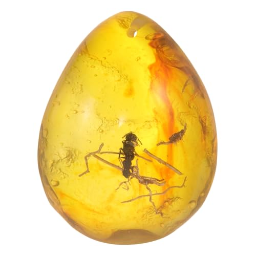 ERINGOGO Resin Mit Insektenexemplar Bernstein Schmuck Für Natürliche Kunsthandwerk Dekoration Einzigartiges Design Für Sammler Und Naturliebhaber von ERINGOGO