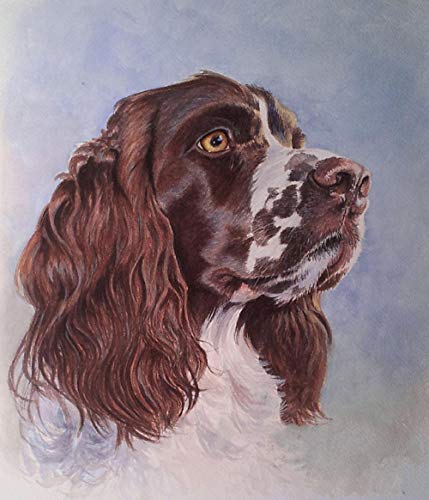 ERUZO 5D-Diamant-Malerei-Set zum Selbermachen, Springer-Spaniel-Hund, Vollbohrer, Kristall-Strass-Stickerei, Stickbilder, Kunst für Zuhause, Wanddekoration, 30 x 40 cm ERUZO 5D-Diamant-Malerei-Set zum Selbermachen, Springer-Spaniel-Hund, Vollbohrer, Kristall-Strass-Stickerei, Stickbilder, Kunst für Zuhause, Wanddekoration, 30 x 40 cm von ERUZO