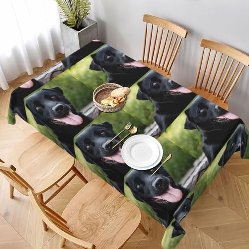 ESNAIUVCD Rottweiler Tapetendruck-Tischdecke, 152,4 x 228,6 cm, auslaufsicherer, strukturierter Stoff, für Innen- und Außenbereich und Feiern ESNAIUVCD Rottweiler Tapetendruck-Tischdecke, 152,4 x 228,6 cm, auslaufsicherer, strukturierter Stoff, für Innen- und Außenbereich und Feiern von ESNAIUVCD