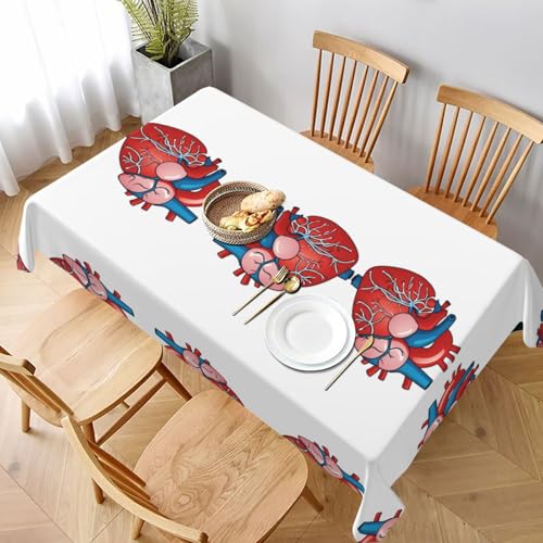 ESNAIUVCD Tischdecke, Motiv: menschliche Anatomie, Herzdiagramm, 152,4 x 228,6 cm, auslaufsicherer, strukturierter Stoff, für Innen- und Außenbereich und Feiern ESNAIUVCD Tischdecke, Motiv: menschliche Anatomie, Herzdiagramm, 152,4 x 228,6 cm, auslaufsicherer, strukturierter Stoff, für Innen- und Außenbereich und Feiern von ESNAIUVCD