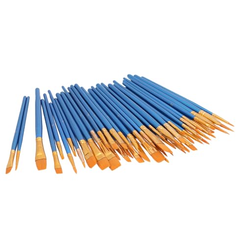 50-teiliges Nylon-Pinsel-Set mit starker Adsorption, Kunstpinsel für Aquarell- und Ölgemälde-Künstler 50-teiliges Nylon-Pinsel-Set mit starker Adsorption, Kunstpinsel für Aquarell- und Ölgemälde-Künstler von ETAINGYEUN