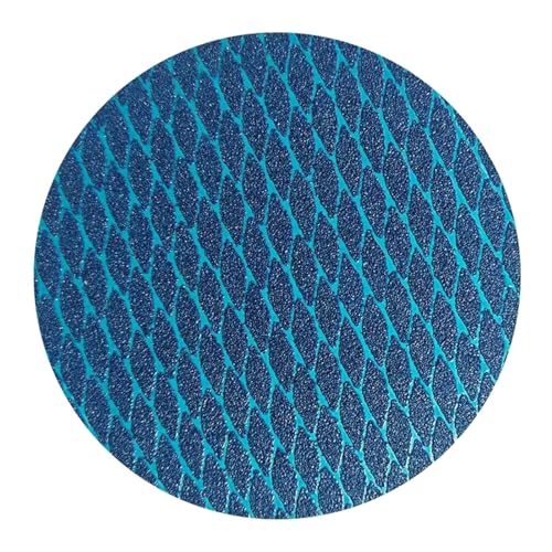 100 Stück 100/125 mm selbstklebende Schleifpapierscheiben, geeignet für Metall und von ETAWDE