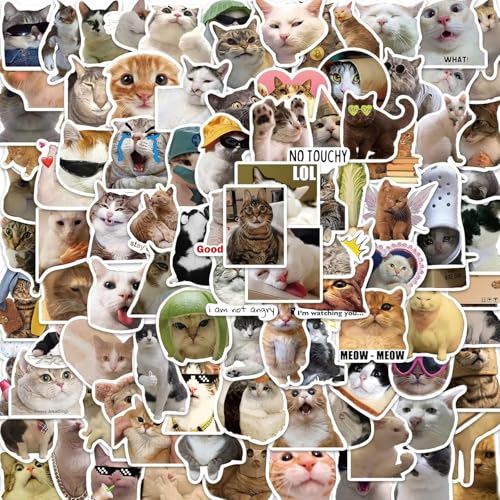 100 Stück niedliche Katzenaufkleber, lustige Meme-Katzen-Aufkleber, wasserdichte Vinyl-Aufkleber für Kindle, Wasserflaschen, Skateboard, Gitarre, Snowboard, Gepäck für Katzenliebhaber von ETHEL
