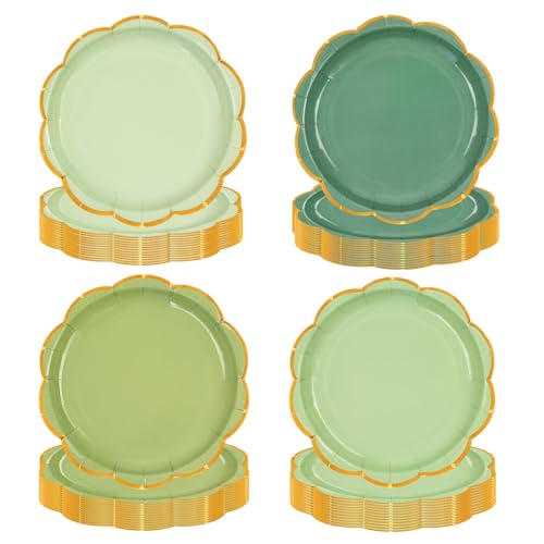 EVYIENEN 48 Stück Salbeigrün Party Teller,18cm Einweg Dessertteller mit Goldfolien Farbverlauf in fächerförmigem Design, für Brautshower Mädchen Babyparty, Abschlussfeiern & Hochzeitszubehör von EVYIENEN