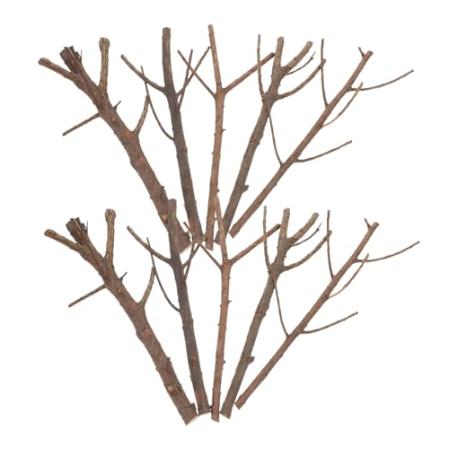 EXCEART 15 Stück Teiliges Lange Weihnachts Dekozweige Holz Realistische Sticks für Kreative DIY Bastelarbeiten Foto Requisiten und Handgefertigte Dekorationen EXCEART 15 Stück Teiliges Lange Weihnachts Dekozweige Holz Realistische Sticks für Kreative DIY Bastelarbeiten Foto Requisiten und Handgefertigte Dekorationen von EXCEART
