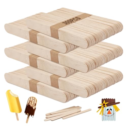 300 Stück Holzstäbchen zum Basteln, 15cm x 1.8cm Eisstiele Holz zum Basteln, Popsicle Sticks aus Naturholz, Holzmundspatel, Holzstiele für Eis am Stiel,Holzspatel zum Basteln,für DIY Handwerk von EXIN DECHEN