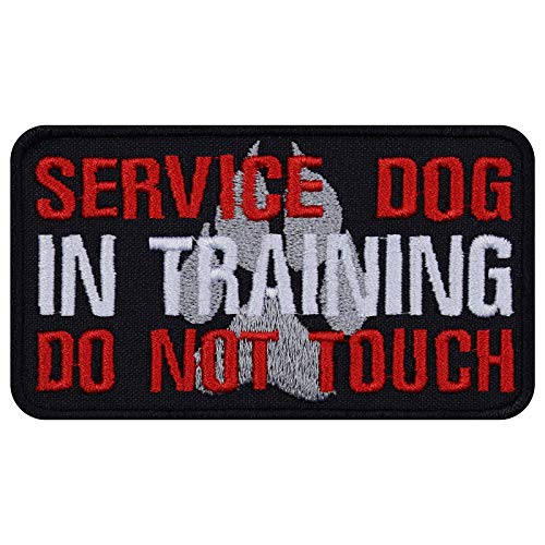 Begleithund Aufnäher "Service Dog in Training" Blindenhund Aufbügler Service dog Patch Hundemama/Hundepapa/Hundesport Applikation mit Stickerei für Leine/Halstuch | 90x50mm von EXPRESS-STICKEREI