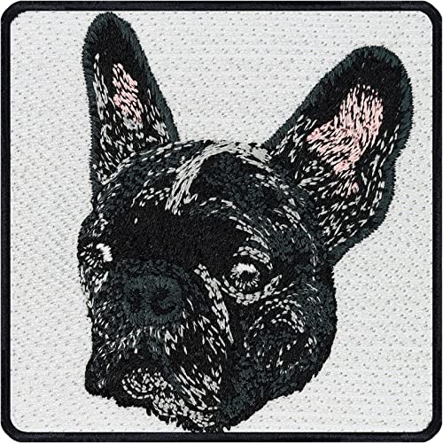 French Bulldog Aufnäher Bulldogge Aufbügler zum annähen/aufbügeln Hunde Patch Hunderassen Bügelbilder Service dog Applikation für Hunde Accessoire/Halsband/Leine | 75x75mm French Bulldog Aufnäher Bulldogge Aufbügler zum annähen/aufbügeln Hunde Patch Hunderassen Bügelbilder Service dog Applikation für Hunde Accessoire/Halsband/Leine | 75x75mm von EXPRESS-STICKEREI