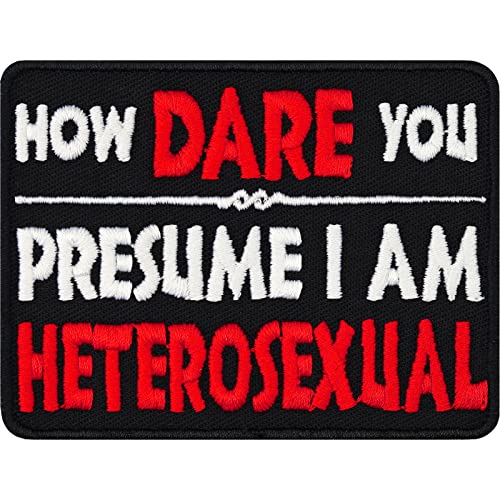 LGBTQ Sticker How dare you presume I am heterosexual Aufnäher mit Spruch LGBTQ+ Aufbügler zum annähen/aufbügeln | Gay Patch Gay community Geschenk | 80x60mm von EXPRESS-STICKEREI