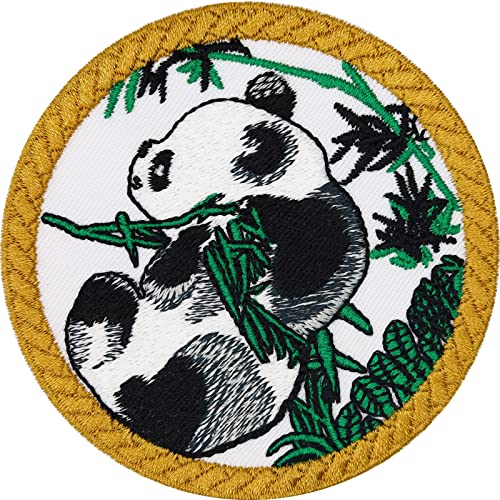 Pandabär Aufnäher Panda Aufbügler China Wildlife Patches Kinder Sticker Umweltschutz Aufkleber Naturfreunde Bügelbild Applikation zum aufnähen/aufbügeln | 75x75mm von EXPRESS-STICKEREI