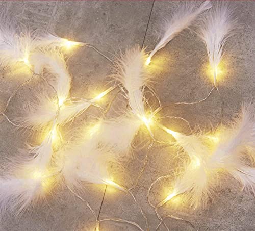 Federn Lichterketten,LED Lichterkette Batterie Lichterkette für Party Garten Weihnachten Halloween Hochzeit Beleuchtung Deko (Weiß,1.65 Meter 10 Lichter) von EXQULEG