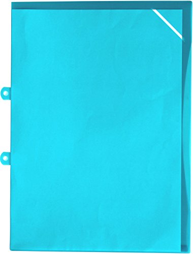 EXXO by HFP 34732 Sichthülle mit Dokument-Sicherheitsecke A4, 10 Hüllen, Oben und seitlich offen, transparent türkis EXXO by HFP 34732 Sichthülle mit Dokument-Sicherheitsecke A4, 10 Hüllen, Oben und seitlich offen, transparent türkis von EXXO by HFP