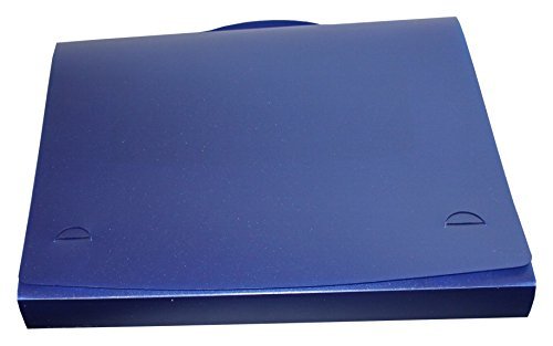 EXXO by HFP 36528 Dokumenten-/Sammelbox A4 mit Tragegriff, 325 x 260 x 32 mm, transparent blau von EXXO by HFP