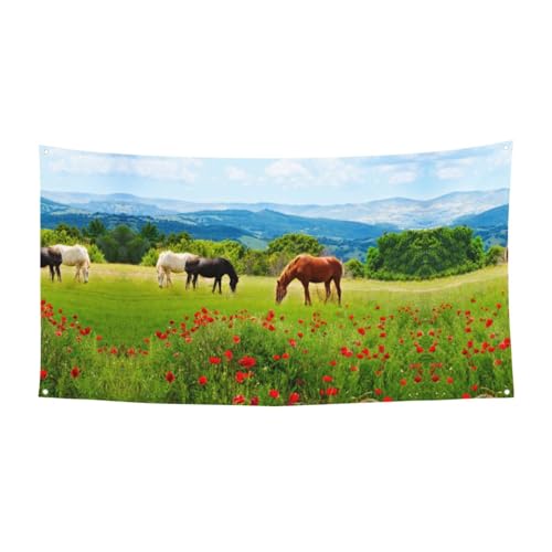 EZDLOWVBA Flagge mit verschiedenen Arten von Pferden, 4 Ösen, Ösen an jeder Ecke, Polyester-Banner, lustige Flaggen, 90 x 180 cm von EZDLOWVBA