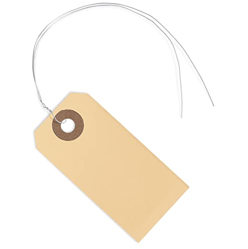 Etiketten mit elastischer Schnur #1, Box mit 100 Stück – 7,9 x 4,5 cm, Manila Etiketten mit verstärktem Loch und elastischen Schlaufen Etiketten mit elastischer Schnur #1, Box mit 100 Stück – 7,9 x 4,5 cm, Manila Etiketten mit verstärktem Loch und elastischen Schlaufen von EZDOM