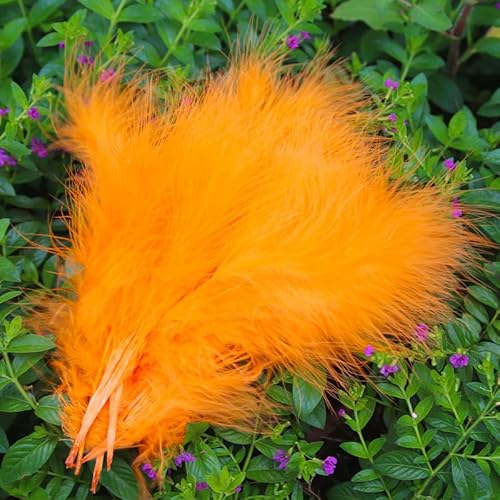 100 Stück DIY Schmuckfedern, volle Daunen, Truthahnfedern, Farbe, Handwerk, Traumfänger, Dekoration, Hellgrün 100 Stück DIY Schmuckfedern, volle Daunen, Truthahnfedern, Farbe, Handwerk, Traumfänger, Dekoration, Hellgrün von EZVFIRPDFZ