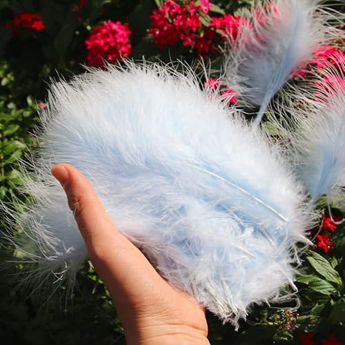 100 Stück DIY Schmuckfedern, volle Daunen, Truthahnfedern, Farbe, Handwerk, Traumfänger, Dekoration, Hellgrün 100 Stück DIY Schmuckfedern, volle Daunen, Truthahnfedern, Farbe, Handwerk, Traumfänger, Dekoration, Hellgrün von EZVFIRPDFZ