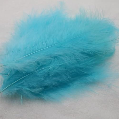 100 Stück DIY Schmuckfedern, volle Daunen, Truthahnfedern, Farbe, Handwerk, Traumfänger, Dekoration, Hellgrün 100 Stück DIY Schmuckfedern, volle Daunen, Truthahnfedern, Farbe, Handwerk, Traumfänger, Dekoration, Hellgrün von EZVFIRPDFZ