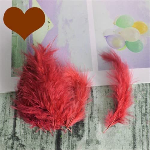 Natürliche Federn, 10–15 cm, Putenfedern, flauschig, Hochzeitskleid, DIY, Schmuck, Dekoration, Zubehör, Weinrot, 300 Stück Natürliche Federn, 10–15 cm, Putenfedern, flauschig, Hochzeitskleid, DIY, Schmuck, Dekoration, Zubehör, Weinrot, 300 Stück von EZVFIRPDFZ