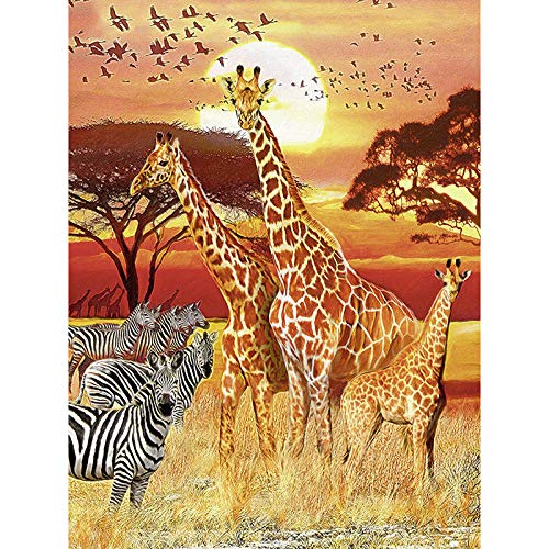 DIY 5D Square Diamond Painting Malen nach Zahlen Diamant,Giraffe Zebra Afrika Diamant Painting Kinder Stickerei Set Kreuzstich Bilder Wall Decoration 30x40cm Rahmenlos von Eainkj