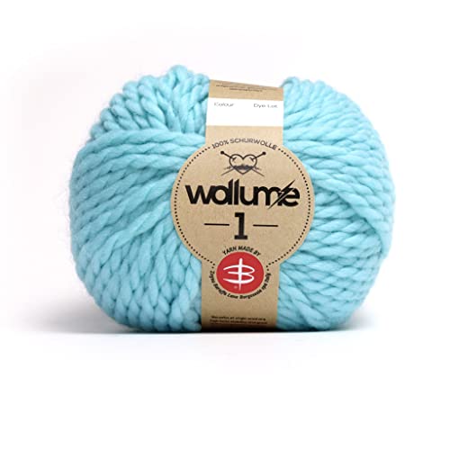Earebel Wollume1 Schurwolle 100g eisblau Earebel Wollume1 Schurwolle 100g eisblau von Earebel