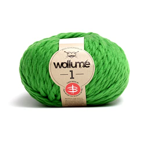Earebel Wollume1 Schurwolle 100g grün von Earebel