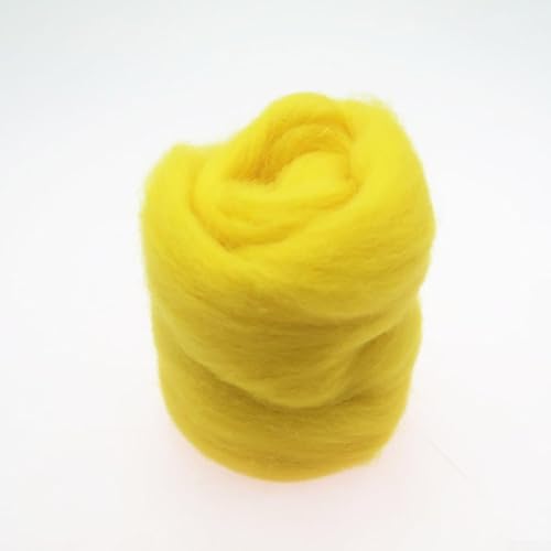 Nadelfilz aus kardierter Wolle, 20 g, für künstlerische Projekte und kreatives Basteln (21#) von EasyByMall