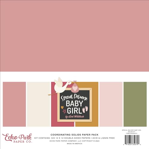 Echo Park Paper Special Delivery Baby Girl Solids Kit von Echo Park Paper